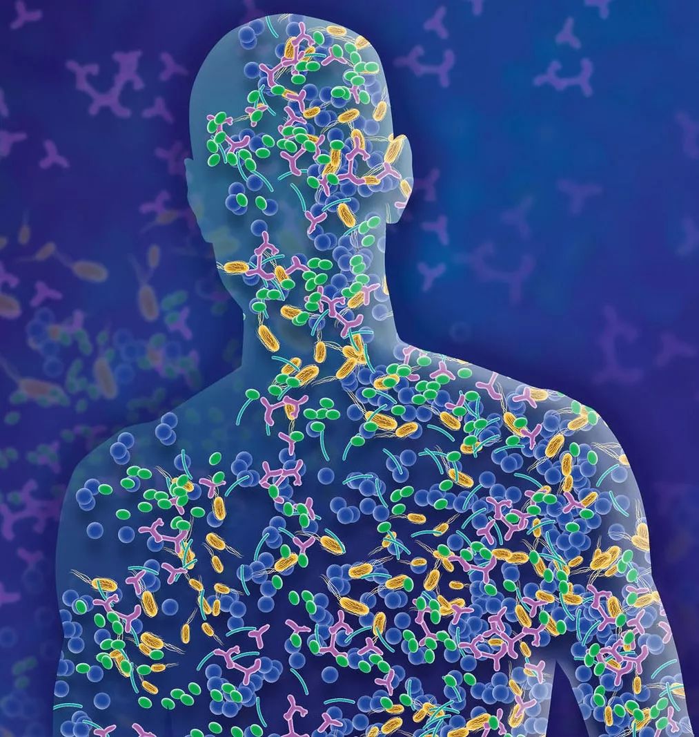 身体只有1%是自己的,其余99%是谁的?_细菌