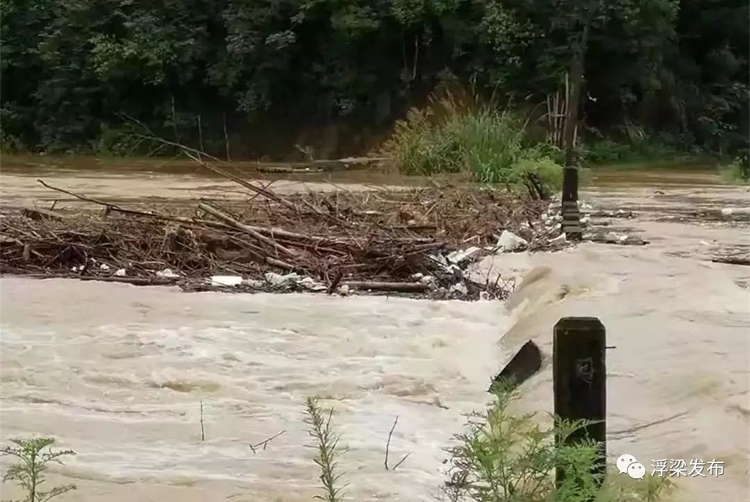 壽安鎮洪水淹沒農田7月12日8時至7月13日7時,浮樑縣共有195個雨量站