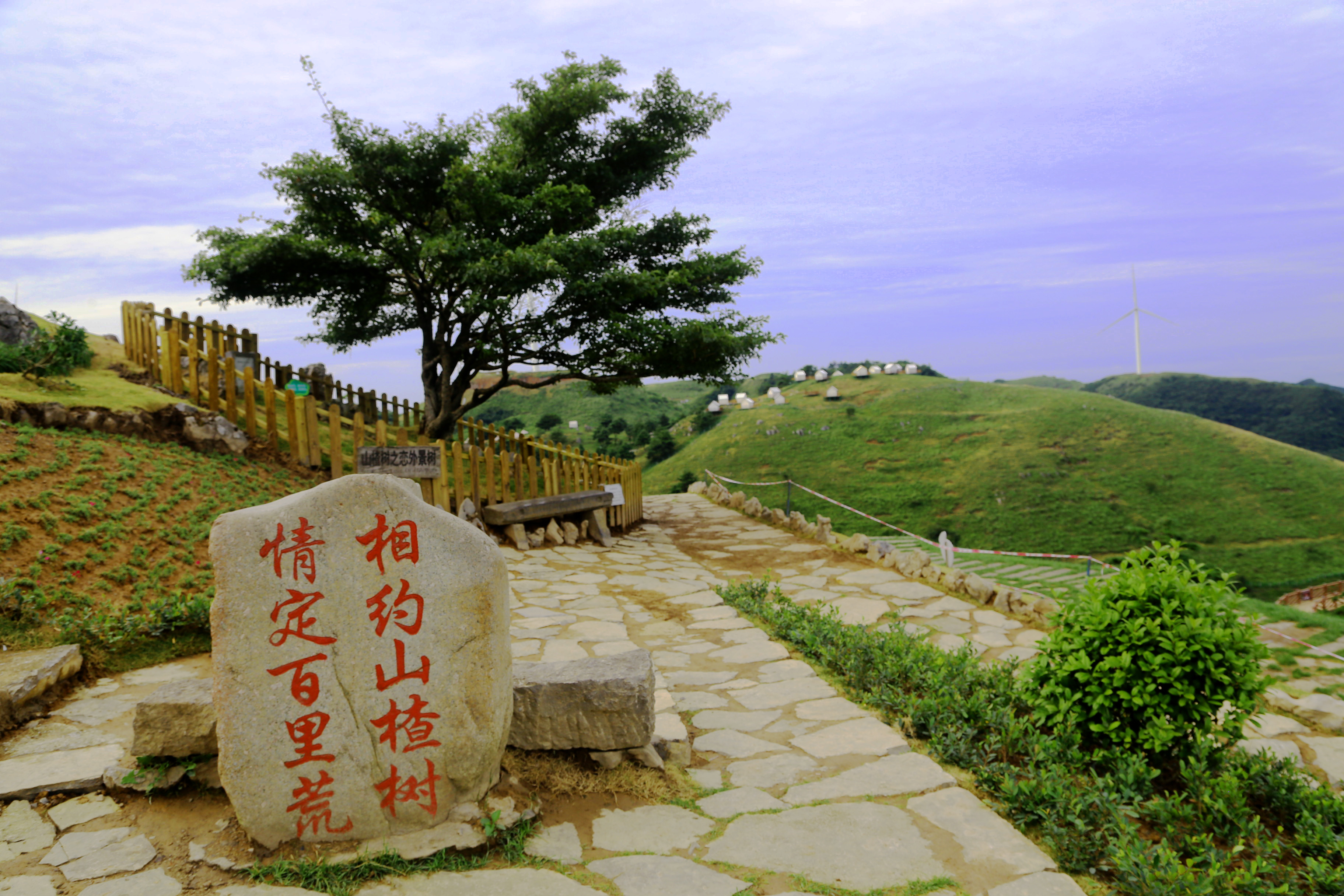 三峡百里荒:举办帐篷露营节,送百万清凉礼包,10个高温行业获赠