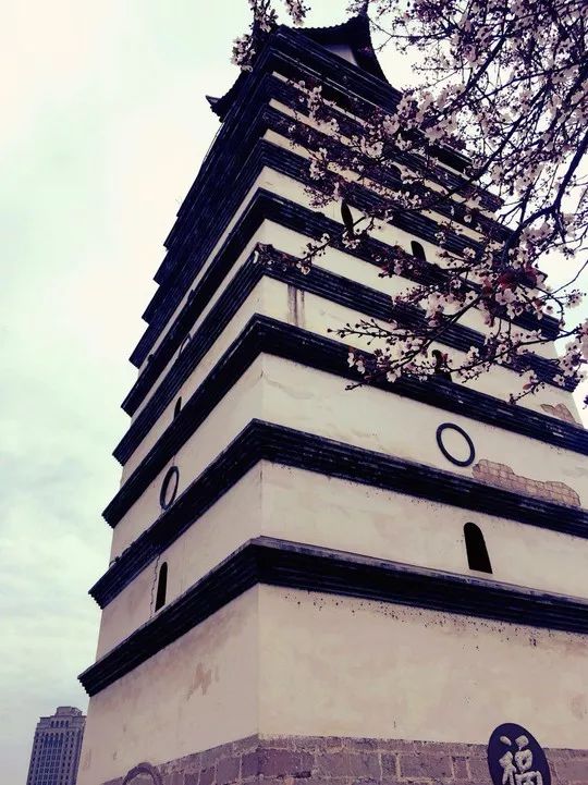 夸夸我的安州美丽花城的安逸时光