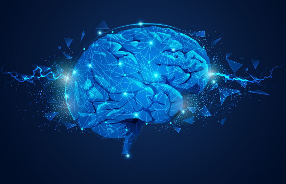 原创人类的智力已无上升空间弗林效应正在放缓智力发展呈颓势