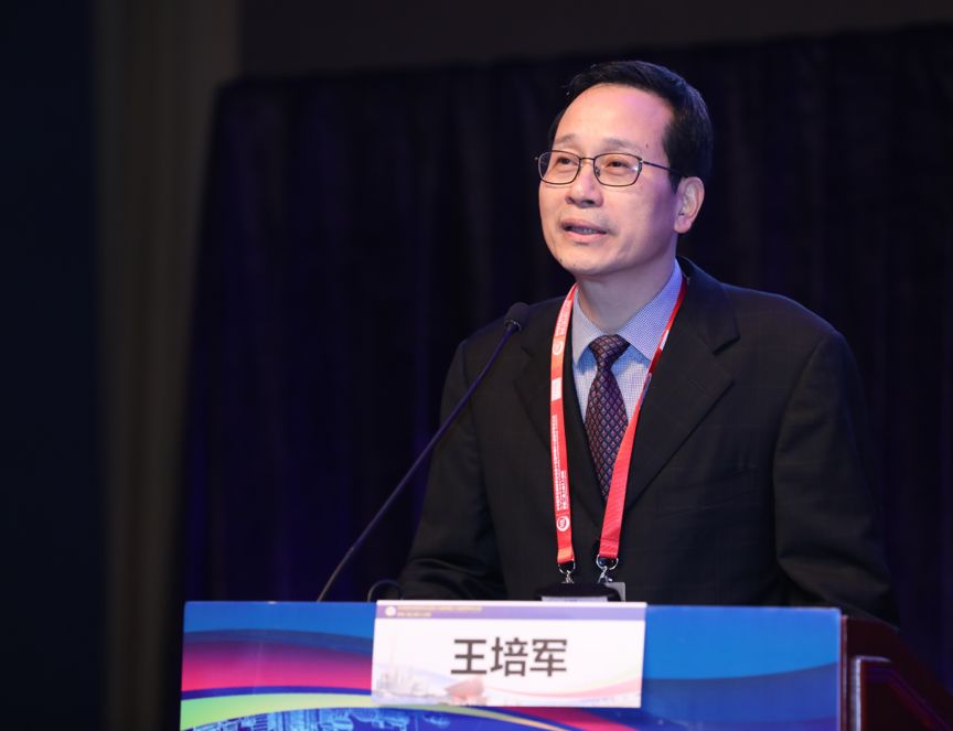 王培军教授代表上海市医学会放射学分会致辞上海市放射学会主任委员