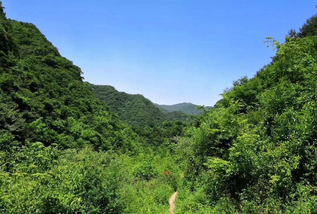 道沟峪是十分独特的一个东汤峪,蓝峪,流峪等之中如峙峪沟,清峪,辋峪
