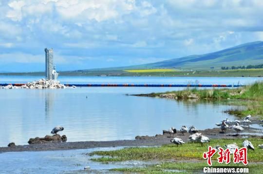 圖為青海湖,是中國最大的內陸湖,鹹水湖. 魯丹陽 攝