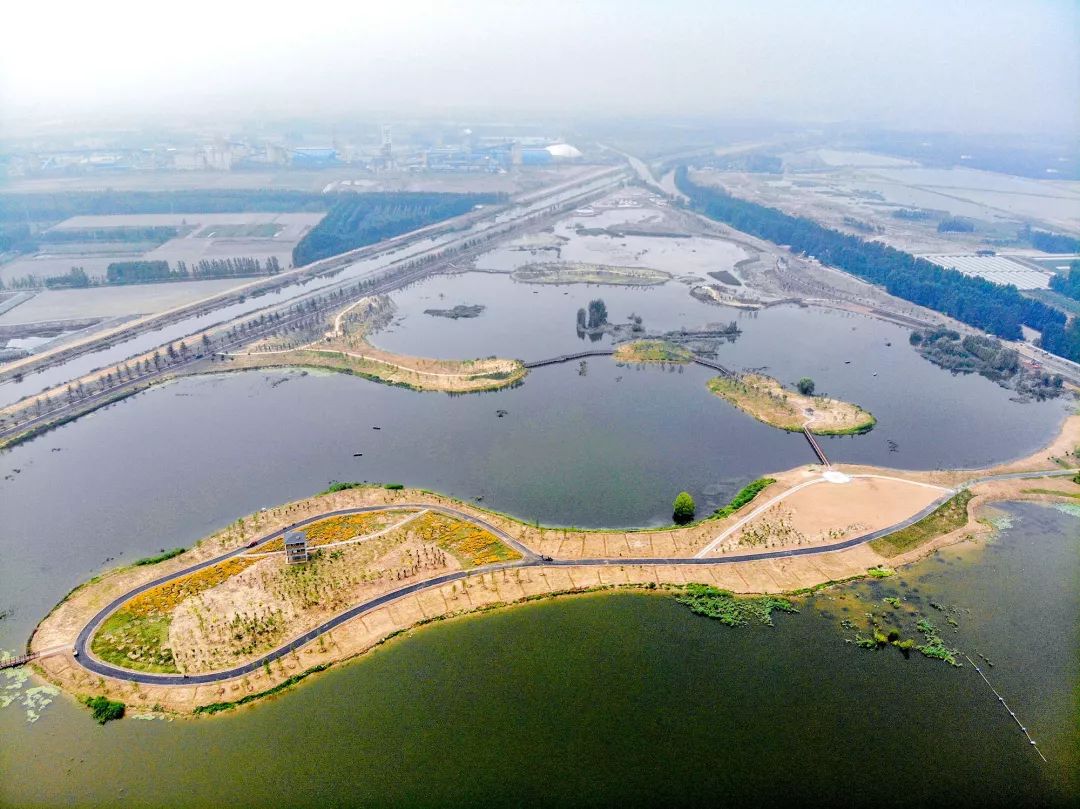 约不济宁十里湖湿地公园8月开放