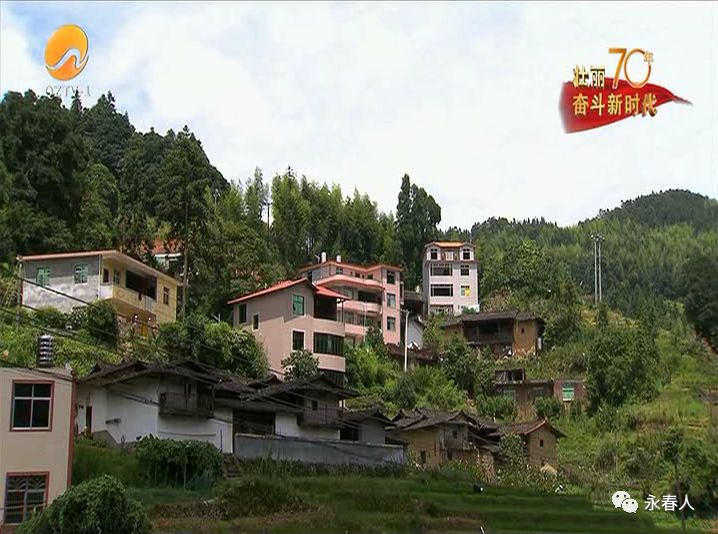 永春横口乡老区村抱团发展红色引领绿色发展