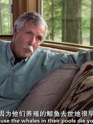 纪录片黑鲸的其中一个片段看虎鲸研究教授揭穿海洋馆工作人员的谎言