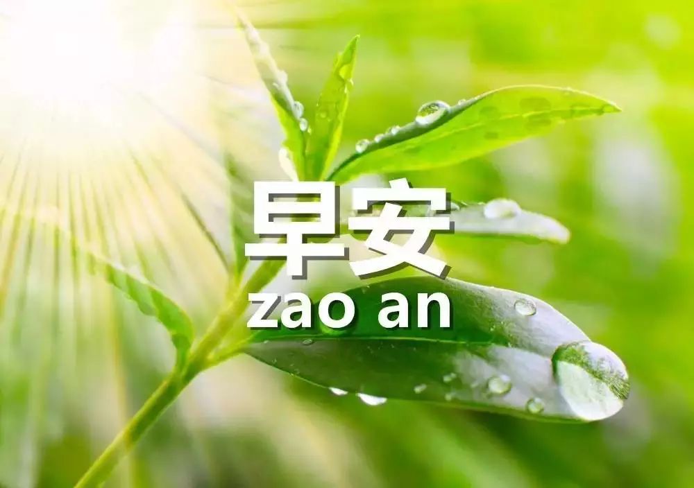 夏天早上好图片大全动态的图片早晨动画表情包