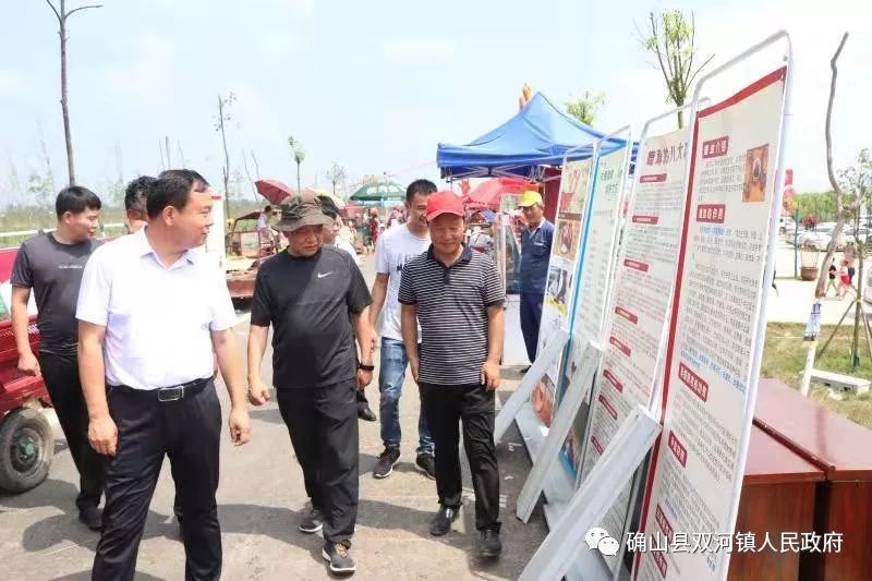 双河网站建设电话 来自搜狐网