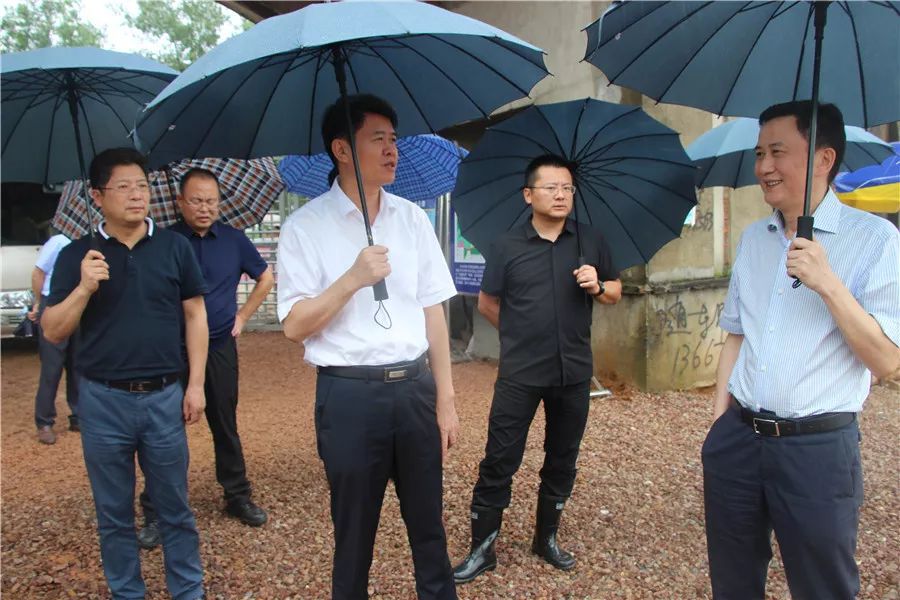 省自然资源厅厅长张圣泽一行来弋阳调研并召开座谈会