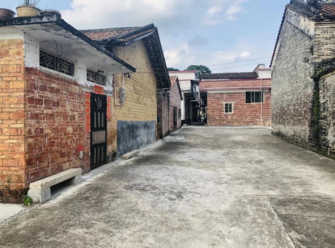 农村美起来农民富起来肇庆这些乡村着实令人眼前一亮