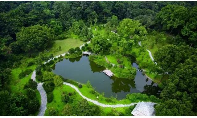 暑假廣州旅遊華南植物園六榕寺沙灣古鎮1850創意園