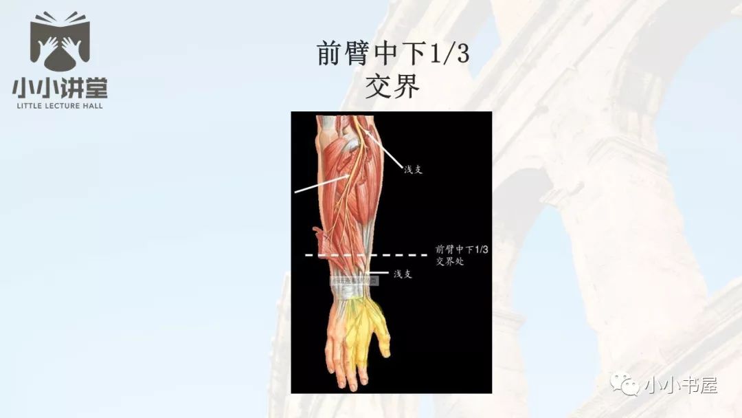 手麻的辨构诊断——桡神经篇(二)-搜狐大视野-搜狐新闻