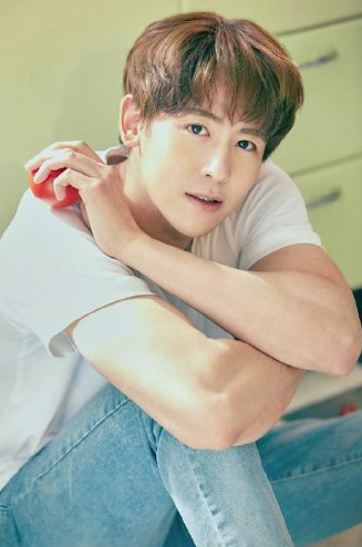 只可惜尼坤爆出和少女时代tiffany恋爱和随后的酒驾事件之后尼坤的