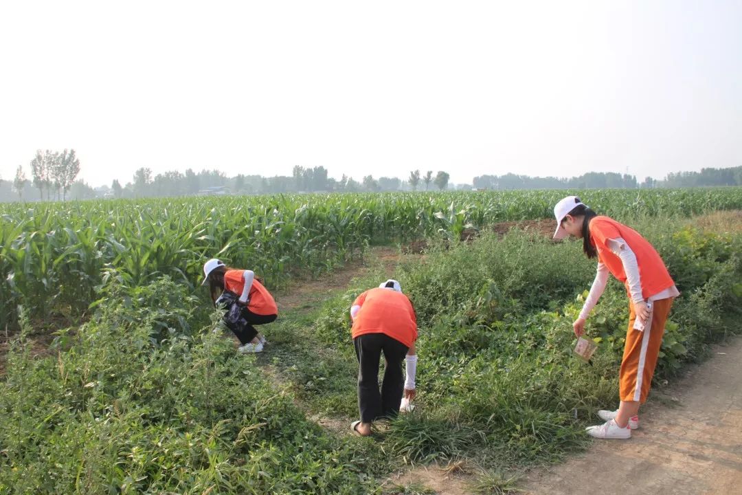 三下乡助力人居环境建设美丽乡村