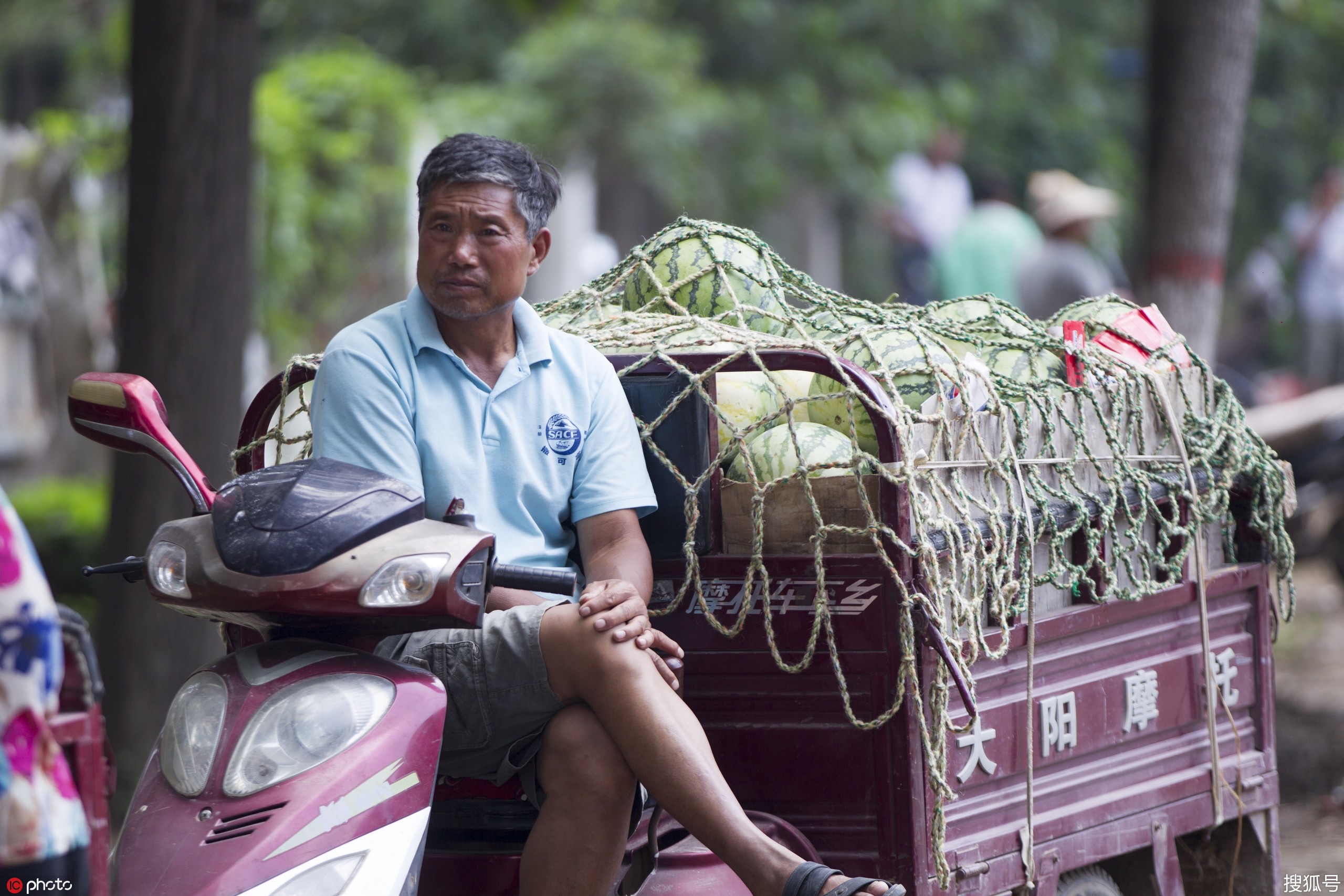 河南这个地方的西瓜熟啦