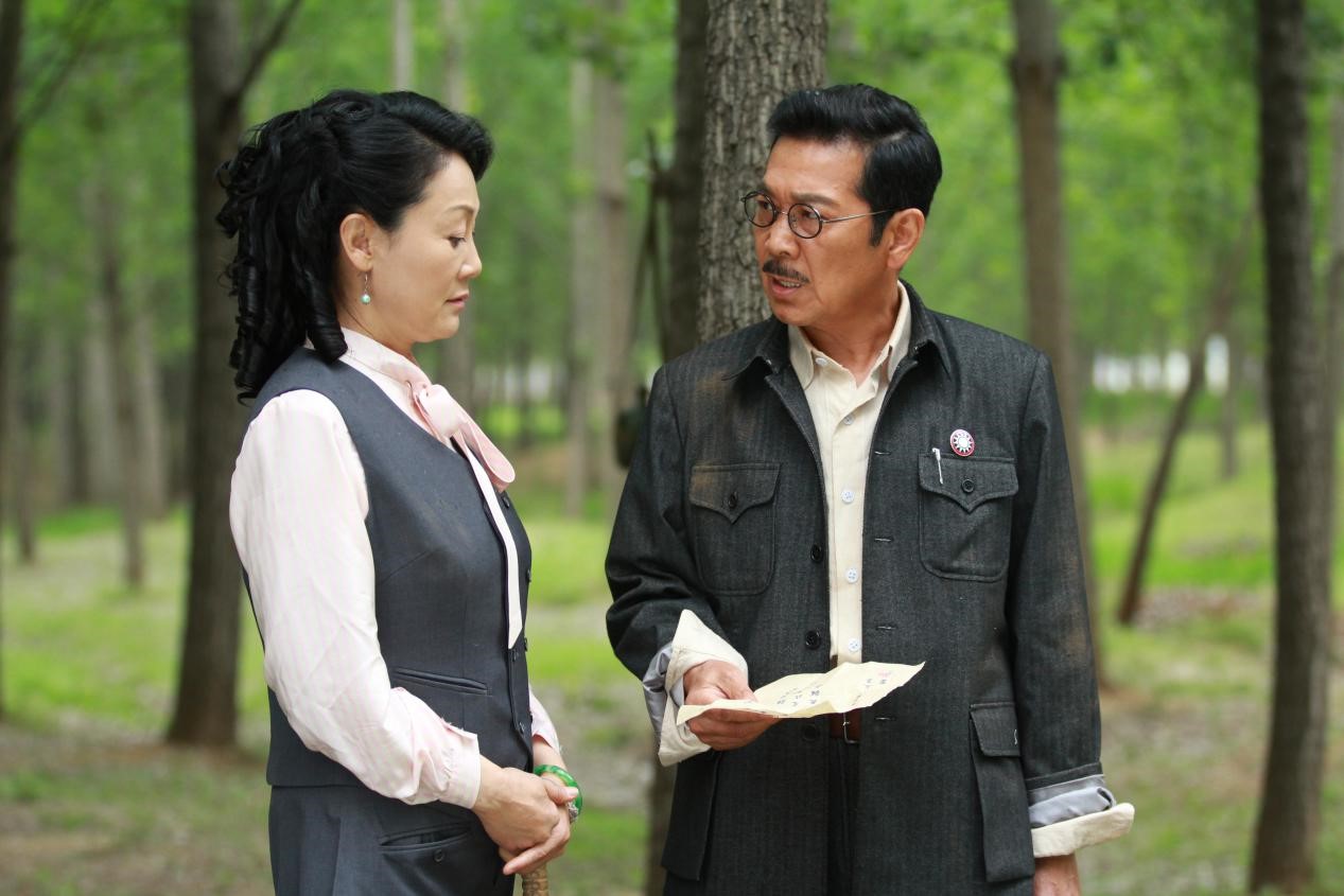 《在桃花盛开的地方》总导演,编剧强强联合,再由内地实力演员丁柳元