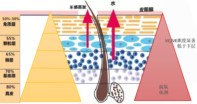 艾拉蜜妮漫生活日常生活如何做好皮肤保湿