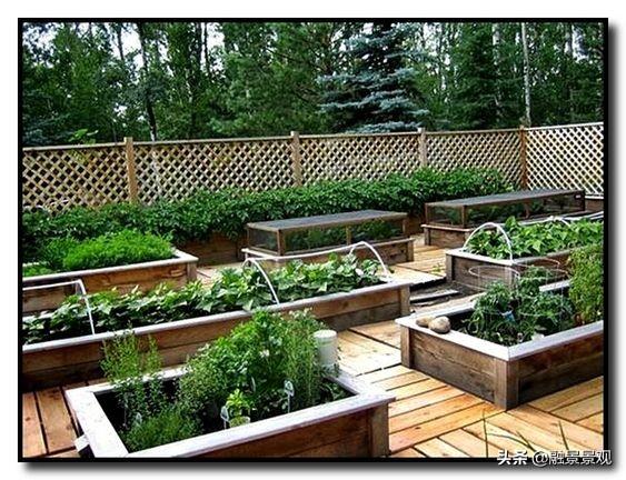 人家别墅是花园我家是菜园