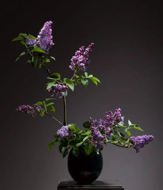 中式花艺,品鉴古典插花!