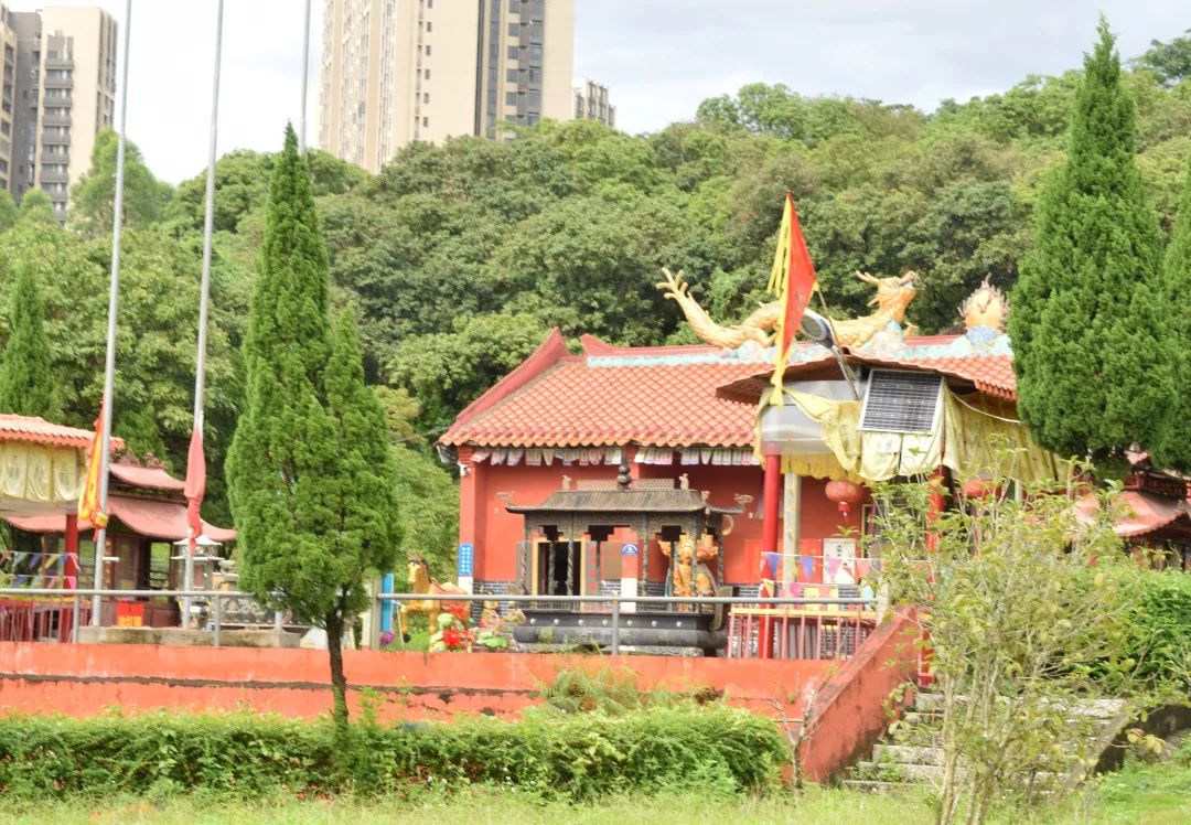 谭仙古庙近年来,陈塘村的面貌虽然在不断改变,但这里土生土长的一