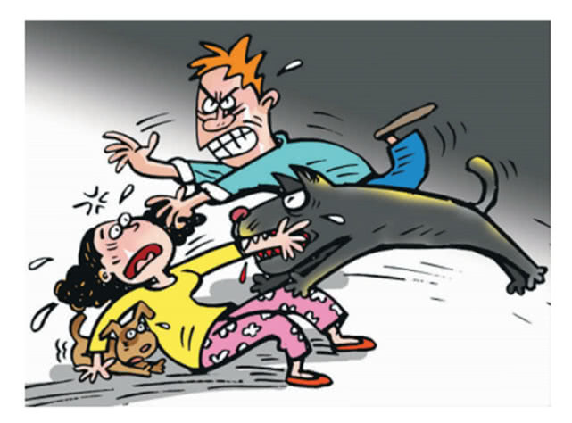 新鲜事!大黄狗护主不但帮主人吵架还帮主人打架