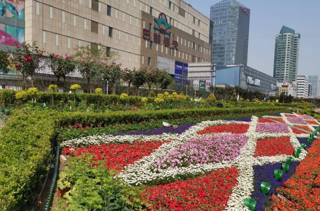 变化后的花坛鲜花灿烂,芬芳动人小伙伴们有没有心动啊那就闲暇时来