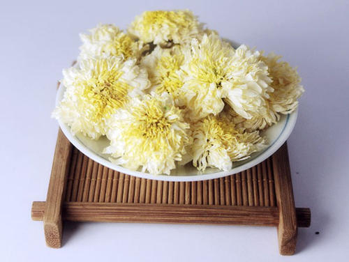 贡菊茶能长期喝吗?