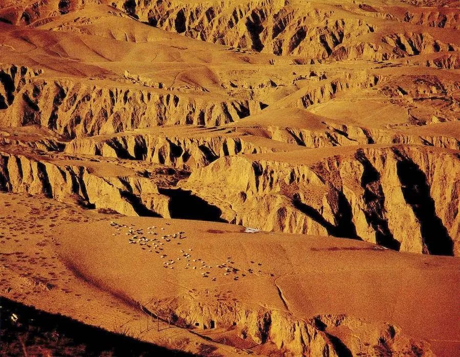 【地貌类型】黄土地貌_分类