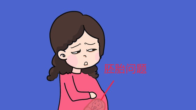 2,孕妈身体问题孕妈的子宫,内分泌等情况,对胎儿也有着很大的影响