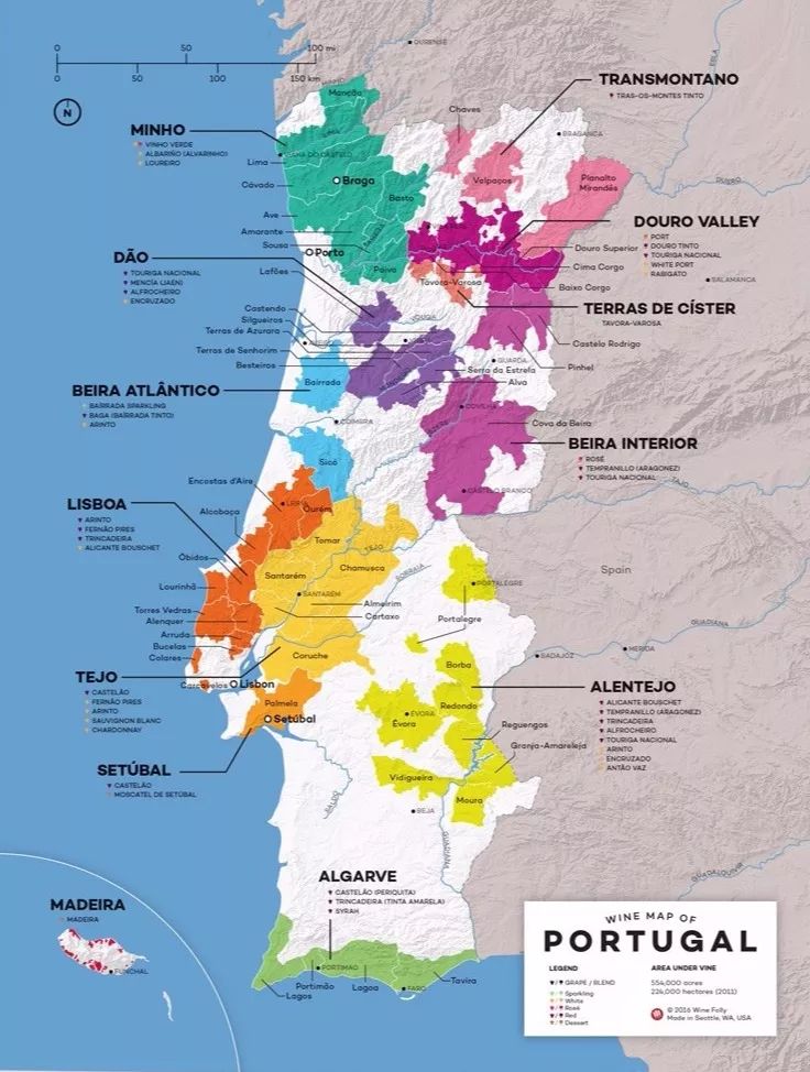 关系,而杜丽佳弗兰卡和杜丽佳费米都来自葡萄牙的杜罗河(douro)地区