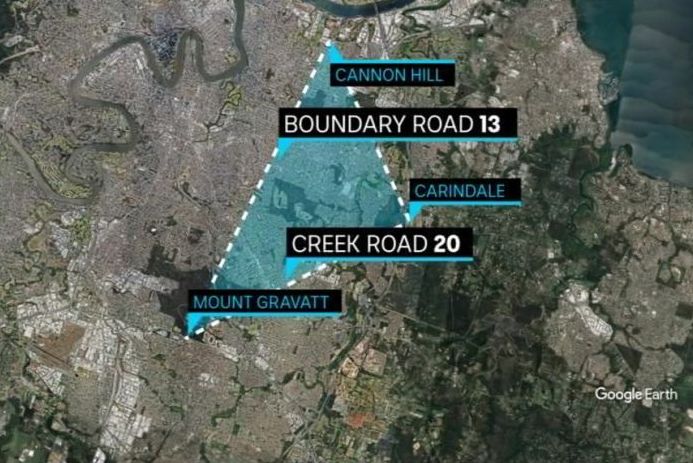 布里斯班现"死亡三角区",大量考拉丧命受伤于此!