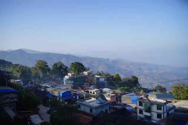 沉默千年邦崴茶一夕改写种茶史干货教室