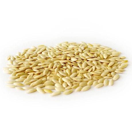 进口水果黄瓜种子全雌耐寒水果黄瓜品种