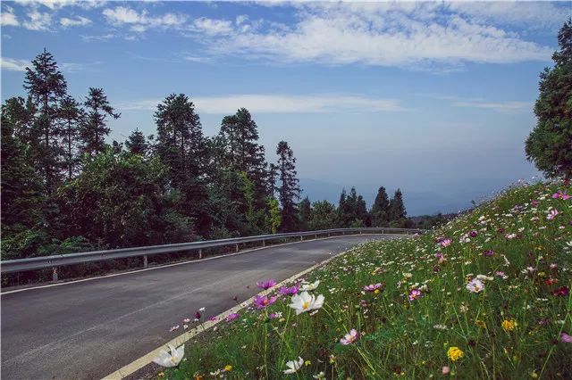 摩圍山景區地處彭水茂雲山國家森林公園,是中國森林康養基地,景區距離