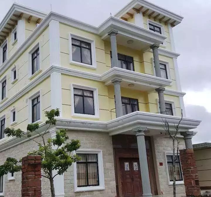 电白这2栋豪宅被拍卖有看中的吗