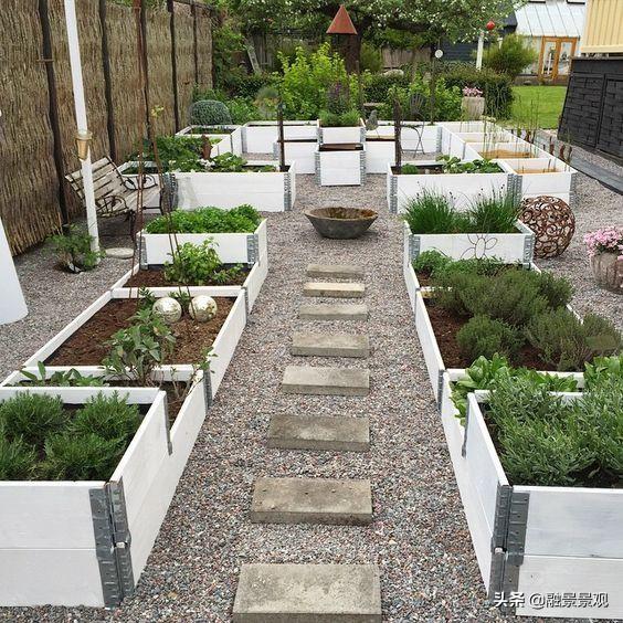 人家别墅是花园,我家是菜园