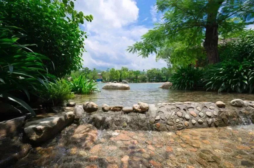 玩割禾影荷花摘葡萄奇趣游,翁源筲箕菜地道食,亚洲第一冷泉滩宝岛湾