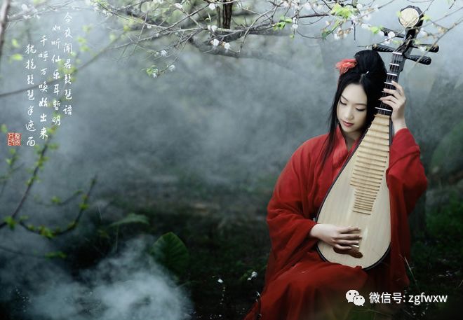 国风琵琶