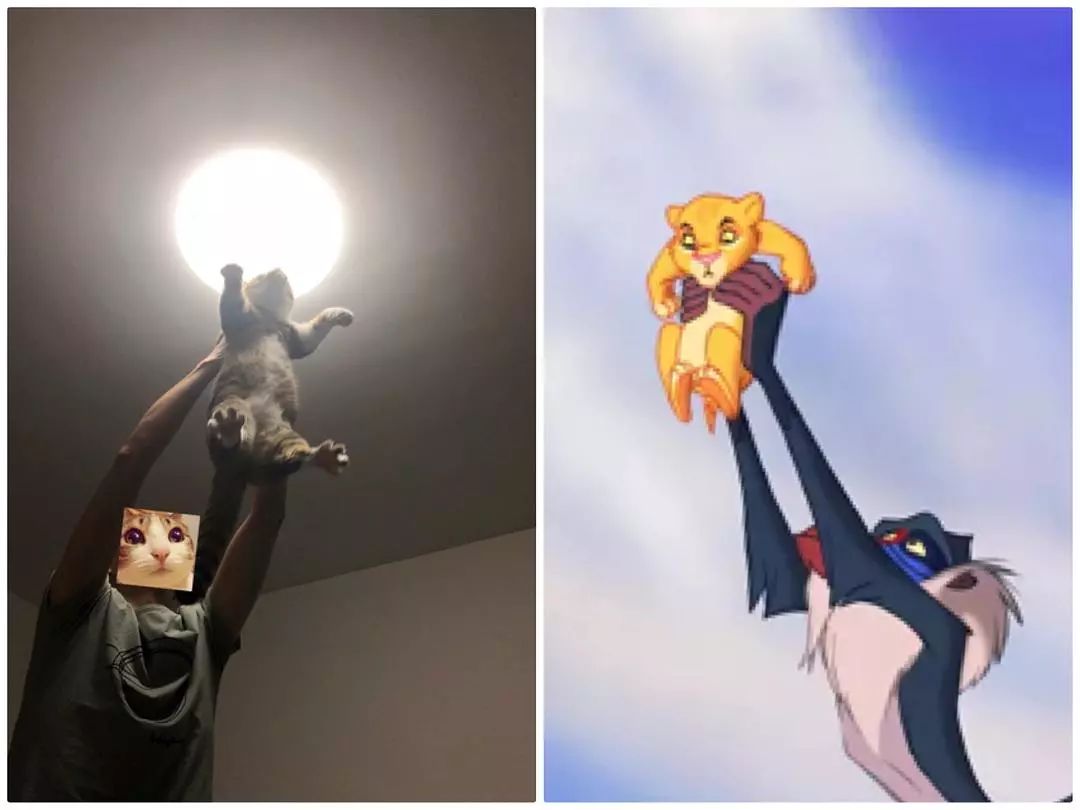 今儿就给大家盘点下那些举起来的"辛巴"们更有影迷发挥脑洞,成功再现