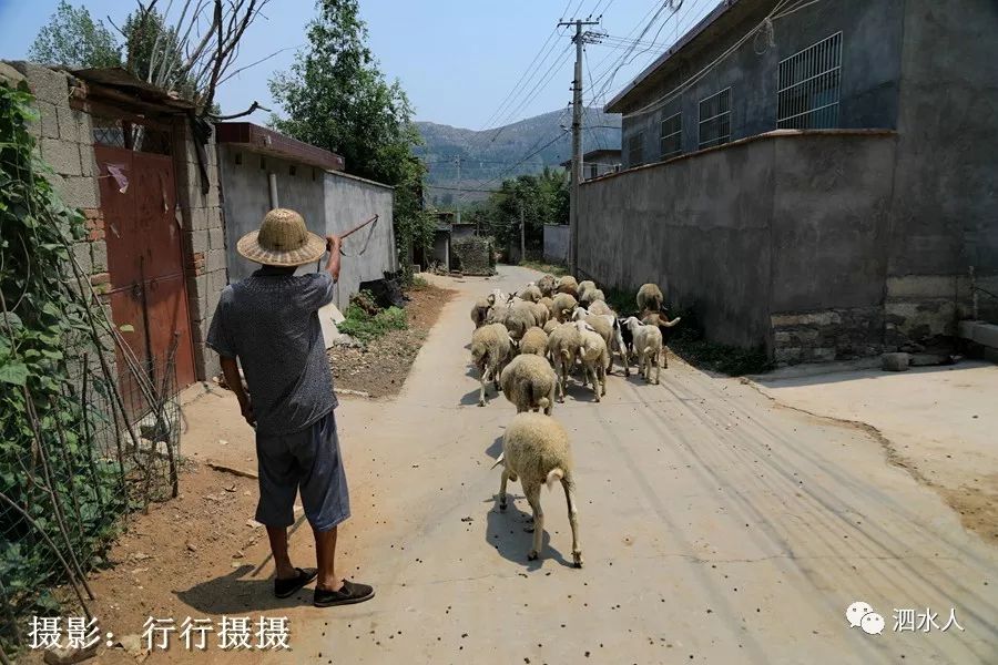 纪实随拍初识山东泗水金庄镇马头山村