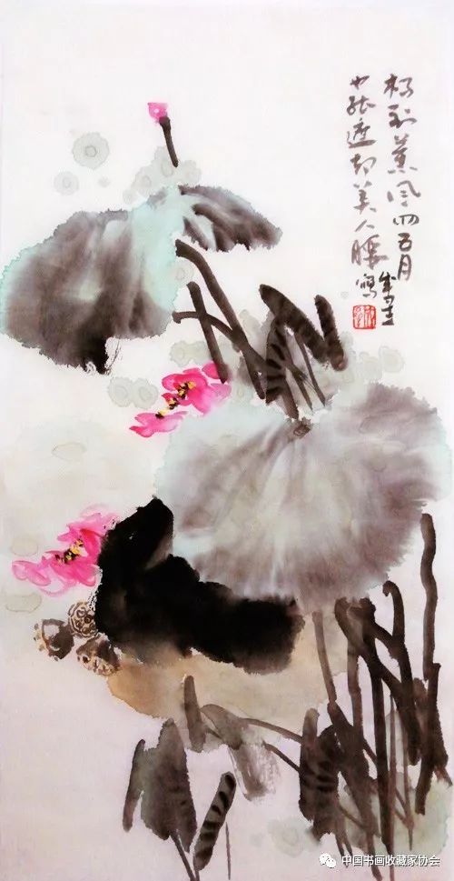 【会员作品赏析】"夏日炎炎赏荷花"——成曐大写意_中国画