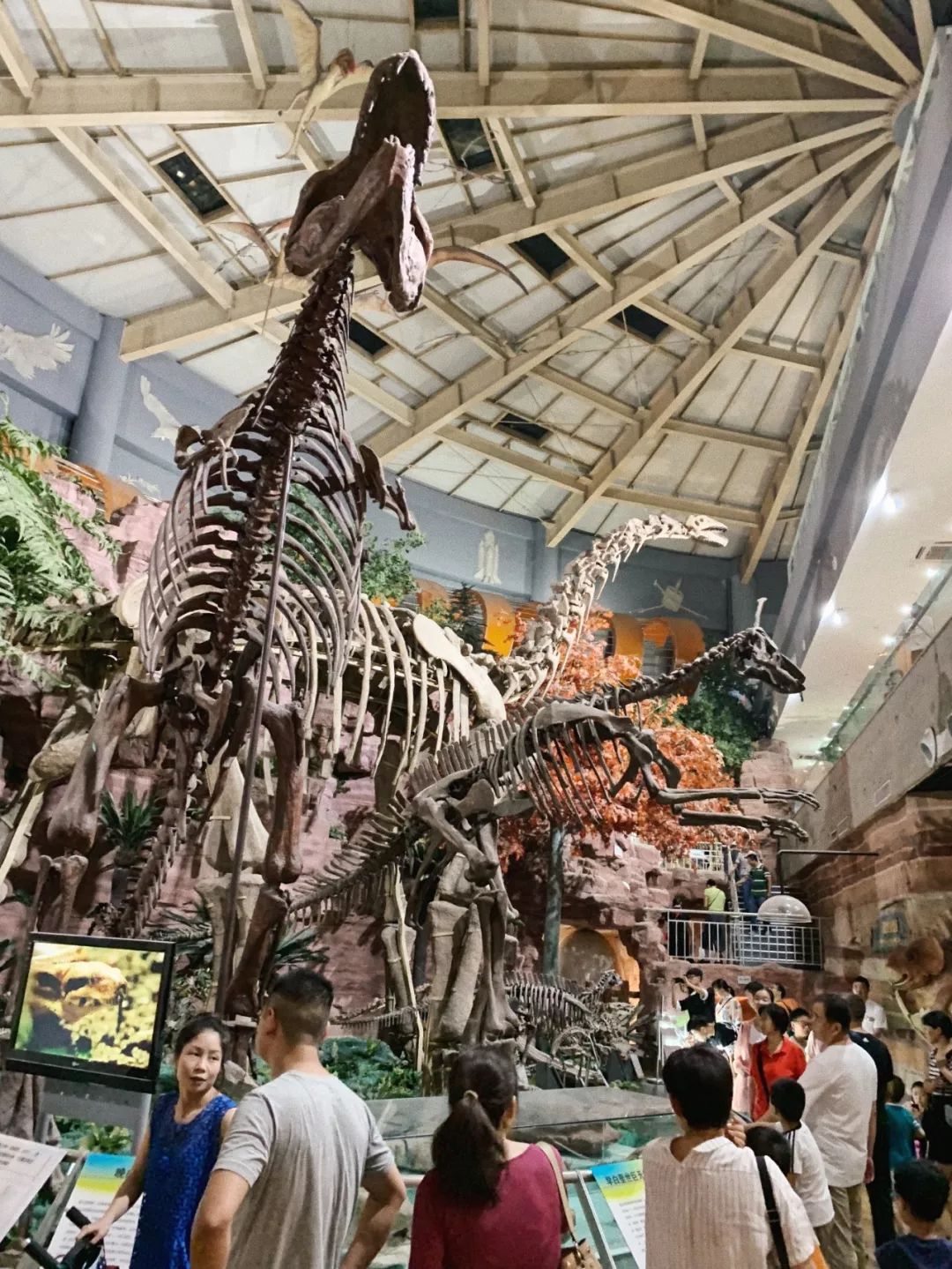 湖南地质博物馆恐龙馆图片