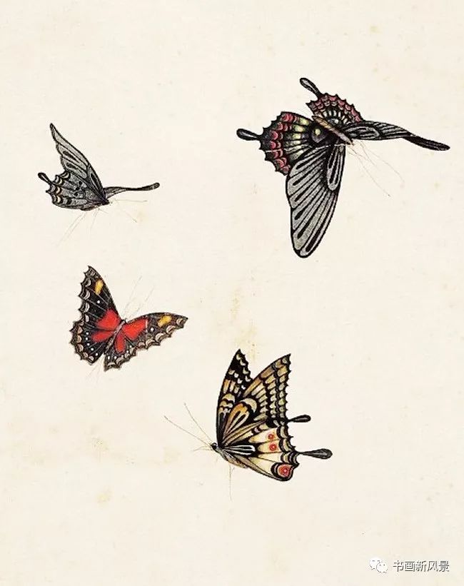 国画中的花蝴蝶,美成了百花仙子!_俞致贞