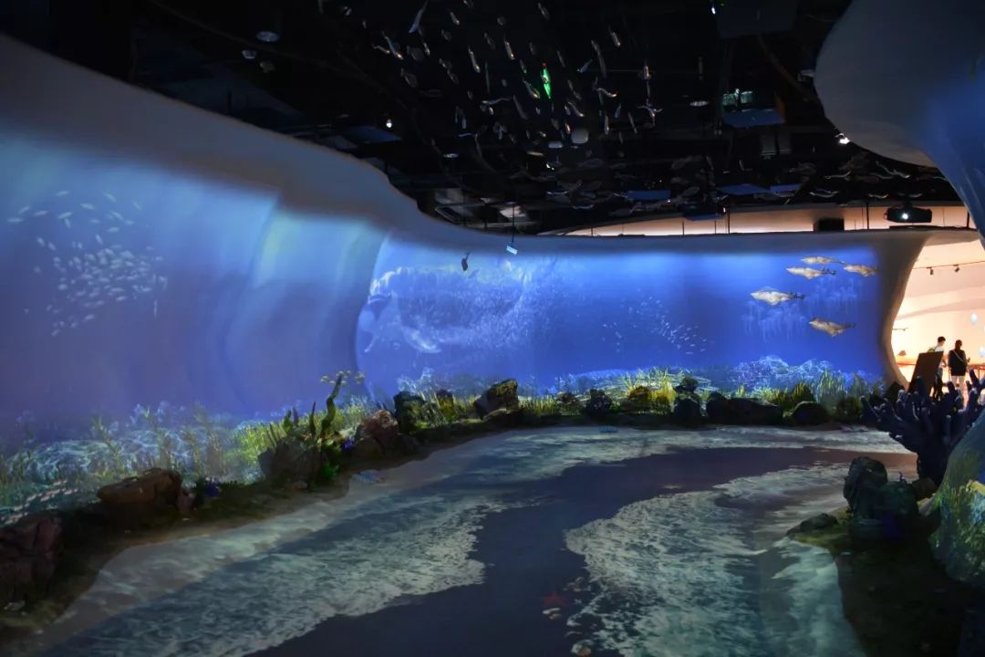 追寻荣成海的味道去海洋食品博览中心逛一逛巳时,一天中精神饱满的