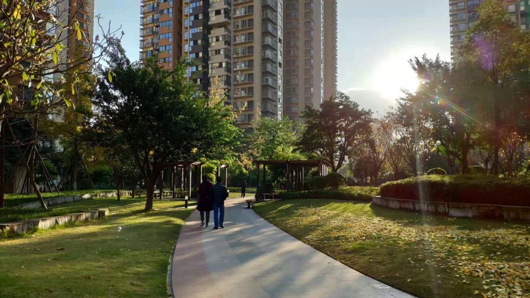 劝导员·小小志愿者】五彩城小区青少年暑期社会实践专项公益活动招