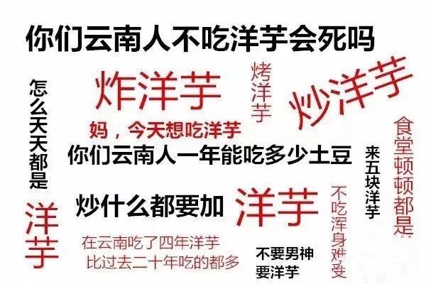 会泽东直街炸洋芋公主图片