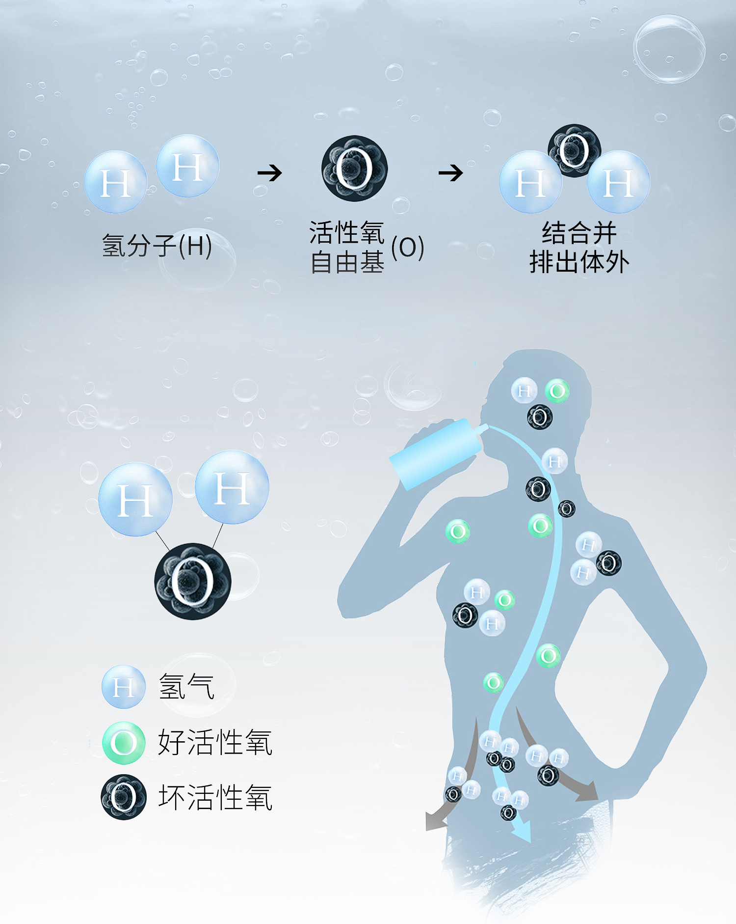 氢分子对人体的作用