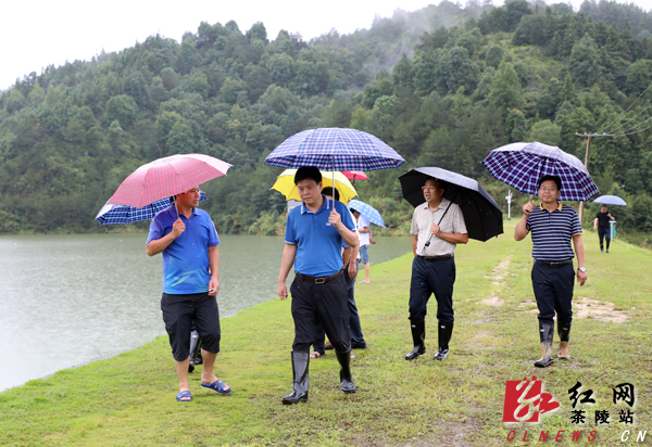 县人大常委会副主任刘池生,副县长杨定桃等领导参加督查