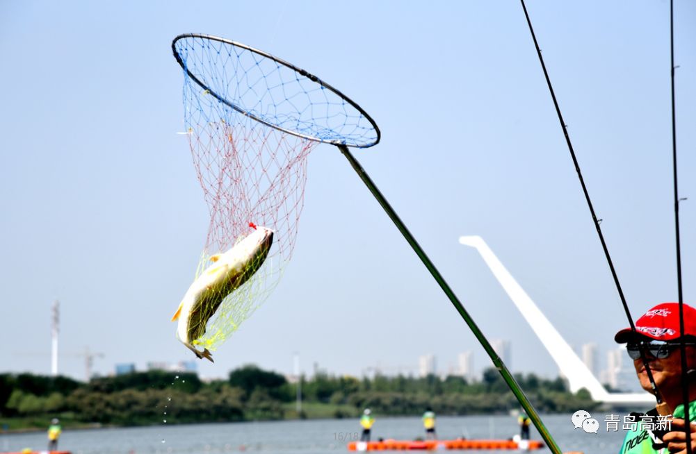 2019青岛市首届路亚钓鱼邀请赛在高新区开赛